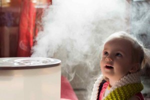 Winston-Salem, NC Humidifier-Services